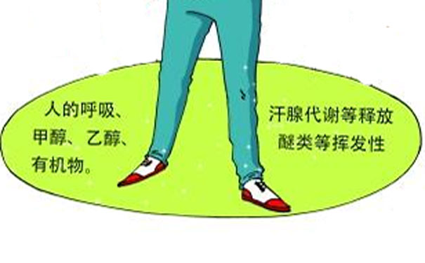 人體也能釋放VOCs 人體也能釋放VOCs